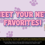 Meet Your New Favorites!